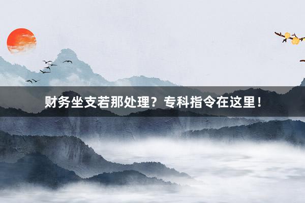 财务坐支若那处理？专科指令在这里！