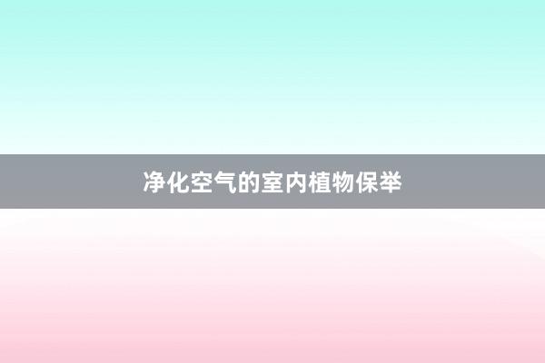 净化空气的室内植物保举