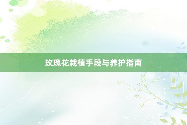 玫瑰花栽植手段与养护指南