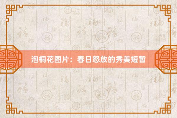 泡桐花图片：春日怒放的秀美短暂