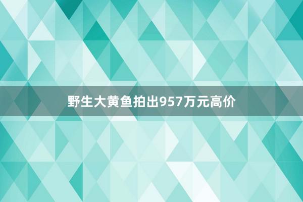 野生大黄鱼拍出957万元高价